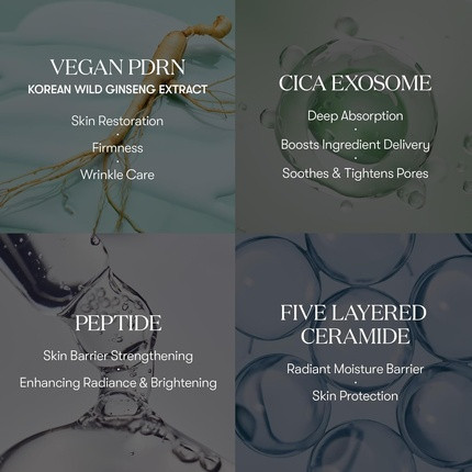 Anti-Aging Serum Vt Cosmetics PDRN Cica Exosome