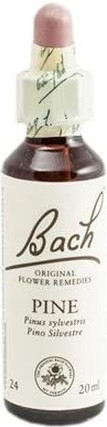 Flower Remedy Bach Bach Flower No 24 Pine