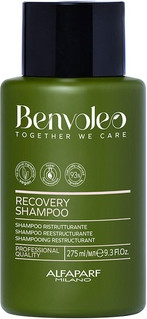 Shampoo Alfaparf Milano Benvoleo