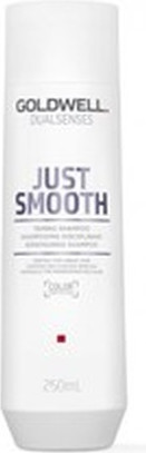 Shampoo Goldwell Dualsenses Just Smooth Taming Shampoo