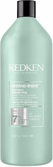 Shampoo Redken Amino Mint