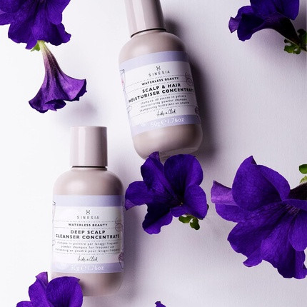 Shampoo Sinesia Waterless Beauty Deep Scalp Cleanser Concentrate