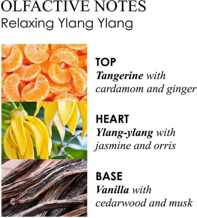 Body Lotion Molton Brown Ylang Ylang