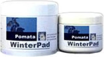 Body Lotion Icf Winterpad