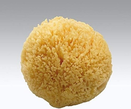 Bath Sponge Koh-I-Noor Koh-I-Noor