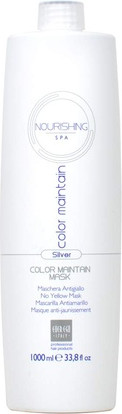 Маска для волос Ever Ego Silver Color Maintain Mask