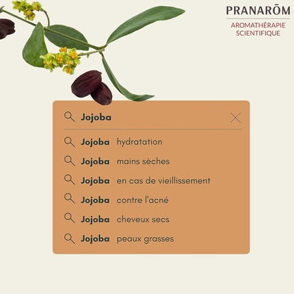 Vegetable Oil Pranarom Organic Sweet Almond Jojoba