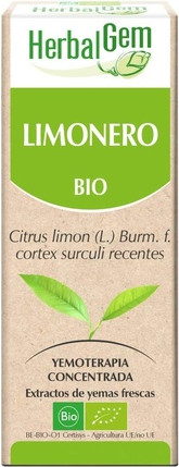 Body Mist Pranarom Herbalm