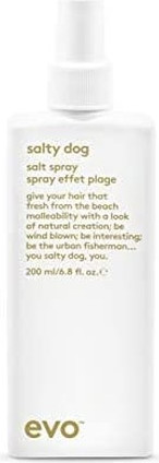 Styling Spray evo Salty Dog