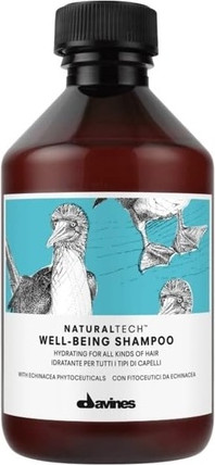 Shampoo Davines Well-Being