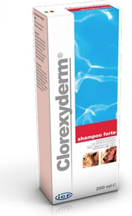 Shampoo Icf