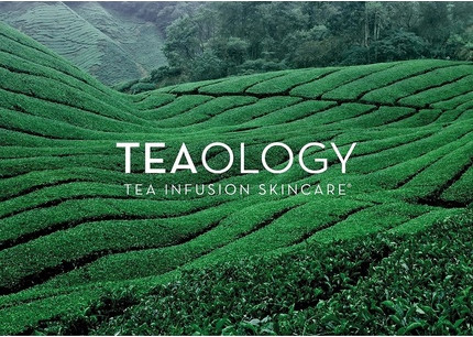 Молочко для тела Teaology Matcha Latte