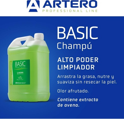 Shampoo Artero