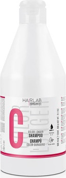 Shampoo Salerm Color Longer
