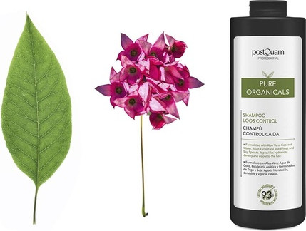 Shampoo Postquam Pure Organicals Loss Control