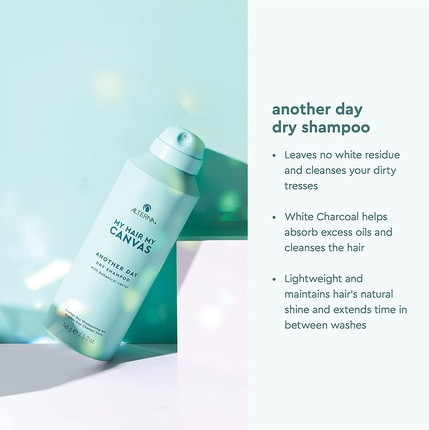 Trockenshampoo Alternative My Hair My Canvas Another Day