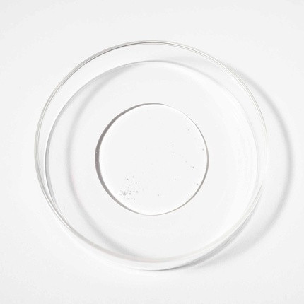 Shampoo Scandinavian Biolabs Haarstärkung