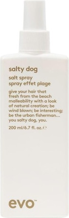 Styling Spray evo Salty Dog