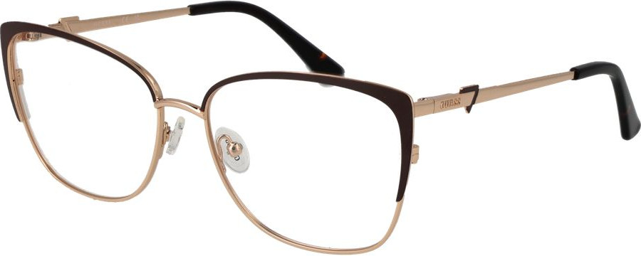 Glasses GUESS