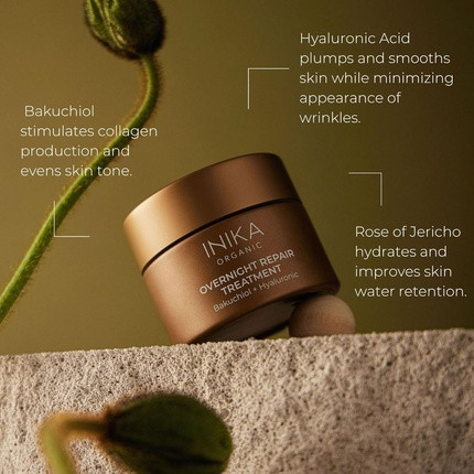 Inika Organic Overnight Repair Treatment