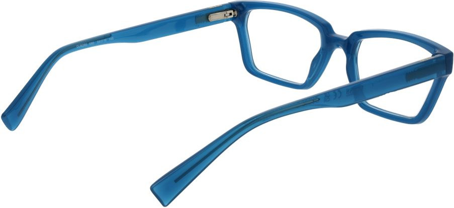 Glasses GUESS