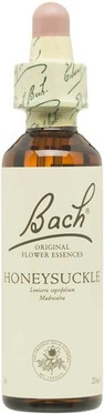 Flower Essence Bach Bach