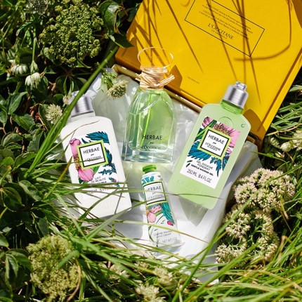 Body Lotion L'Occitane Herbae