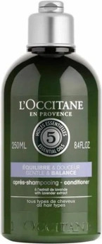 Shampoo L'Occitane Aromacology Anti-qaysqoloq