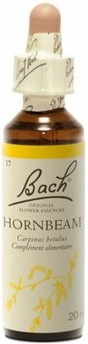 Mother Tincture Schwabe Pharma Hainbuche Original
