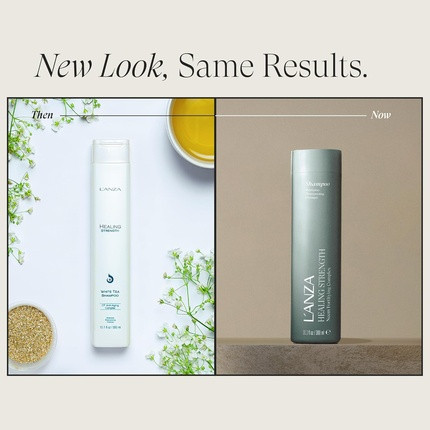 Shampoo L'Anza Healing Strength White Tea Shampoo