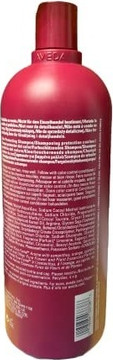 Shampoo Aveda Color Control
