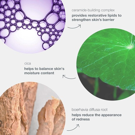 Cream Dermalogica Stabilizing Repair