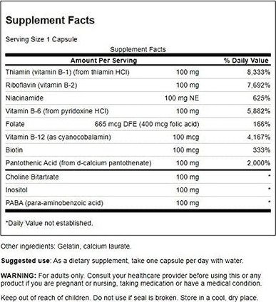 Supplement Swanson Vitamin B-100