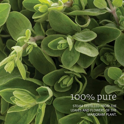 Essential Oil Now Foods 100% Pure Marjoram Oil