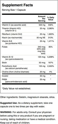 Vitamin Supplement Swanson Vitamin B Stress Complex with Vitamin C