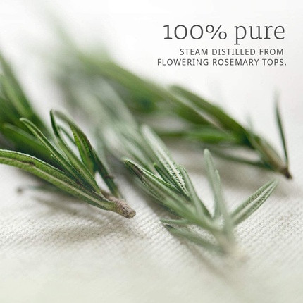Essential Oil Now Foods