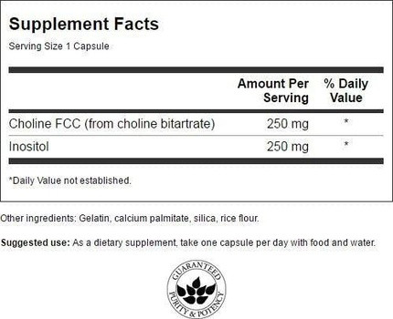 Vitamin Serum Swanson Nerve Support Mental Function
