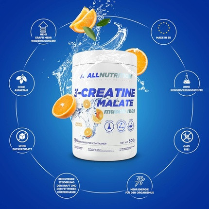 Powder Supplement Allnutrition