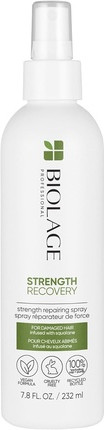 Hitzeschutzspray Biolage