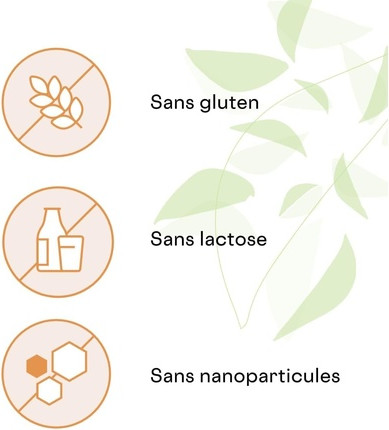 Биологически активная добавка Be Life Belife Ginkgo 3000