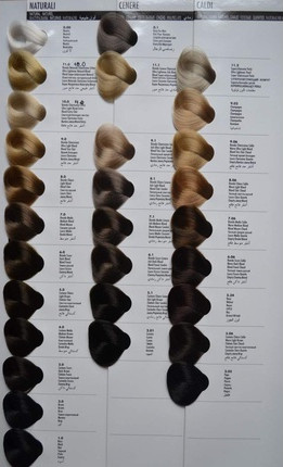 Cream Color Allwaves 1.0 Black