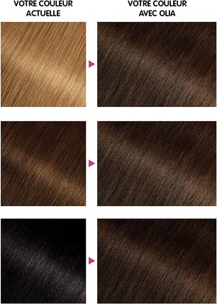 Dauerhafte Coloration Garnier 4.0 Pure Chestnut