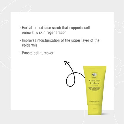 Facial Scrub New Nordic Gentle Face Exfoliator with Hibiscus Flowers and Apricot Seeds