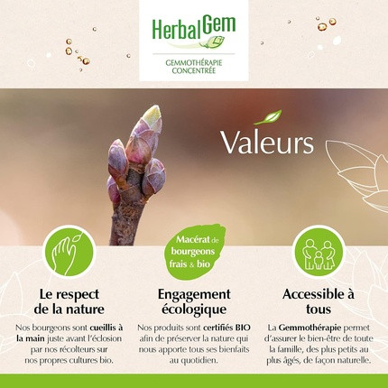 Dietary Supplement Herbalgem Organic Black Elderberry