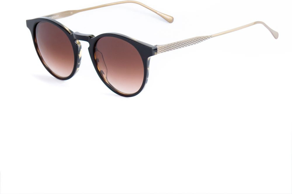 Brown Titanium Sunglasses