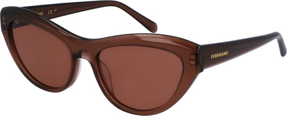 Chicoynak Ferragamo