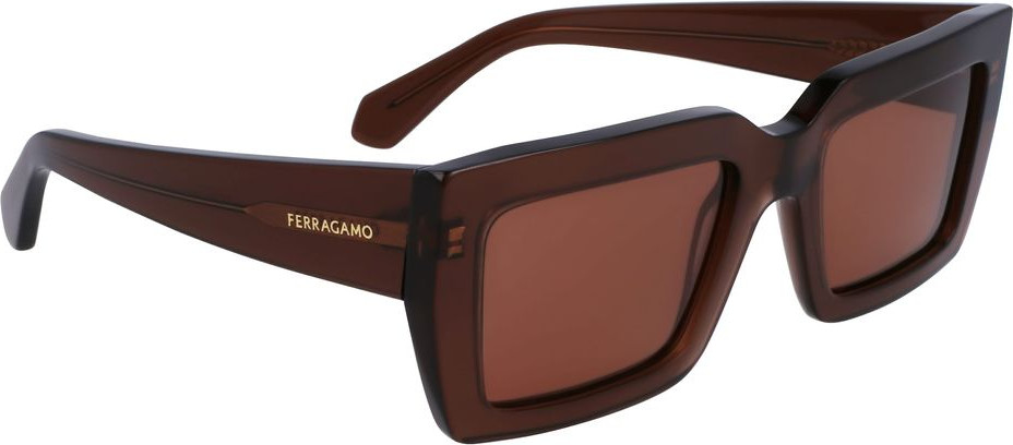 Sunglasses Brown Acetate Sunglasses
