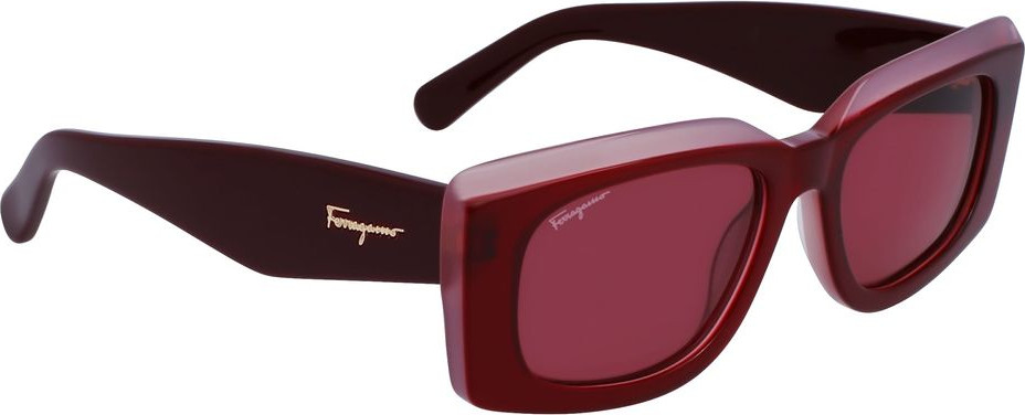 Ferragamo dani rangli aktsentli ko'zoynak