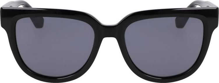 Sunglasses Longchamp