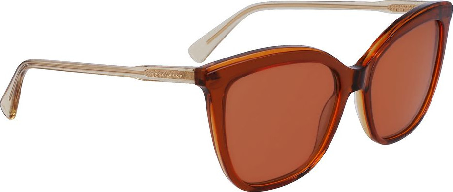 Longchamp ko'zoynagi